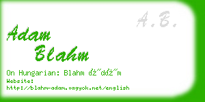 adam blahm business card